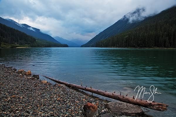 Duffey Lake Shoreline