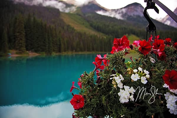 Emerald Beauty