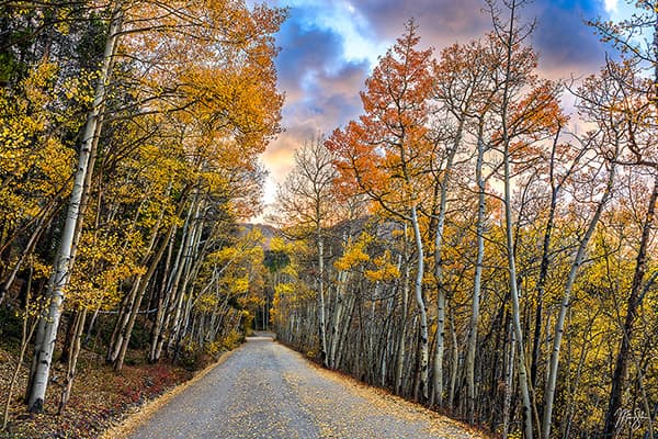 Fleeting Autumn on Boreas Pass