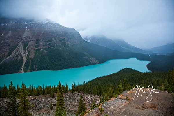 Foggy Peyto Lake Classic