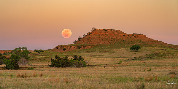 Full Moon Over the Gypsum Hills