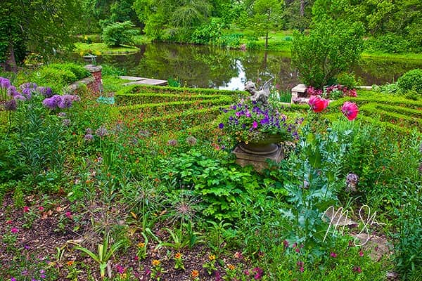 Spring at the Gardens of Bartlett Arboretum