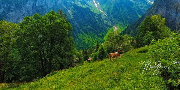 Gimmelwald