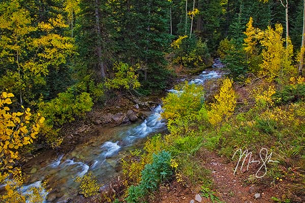 Golden Castle Creek