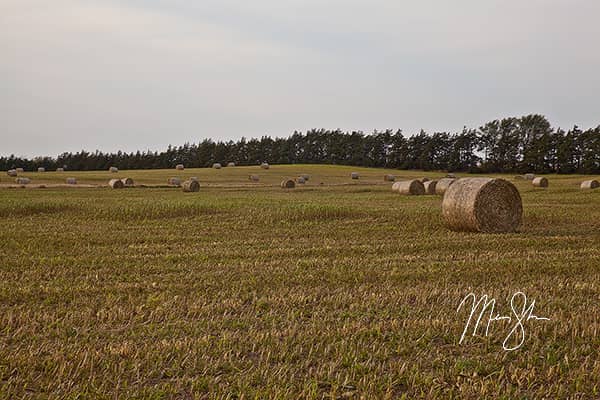 Gypsum Hills Fields