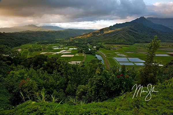 Hanalei Valley Sunrise