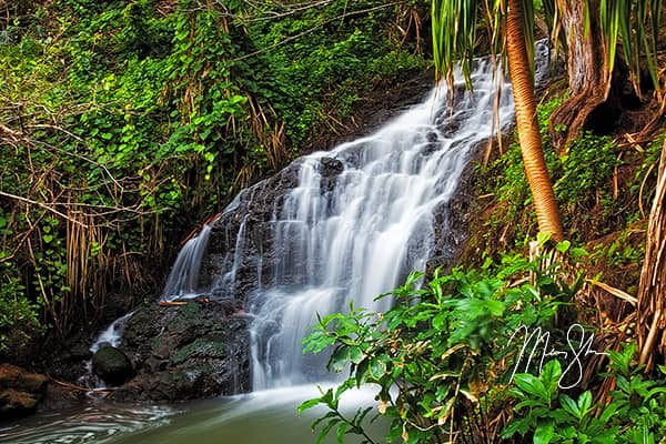 Hawaiian Waterfalls