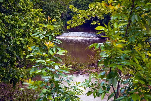 Hitchen Creek Falls