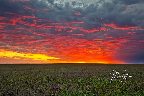 Just Your Average Kansas Sunset