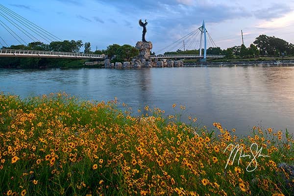 Keeper of the Plains Sunflowers