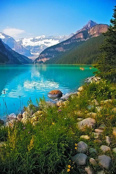 Lake Louise Flowers