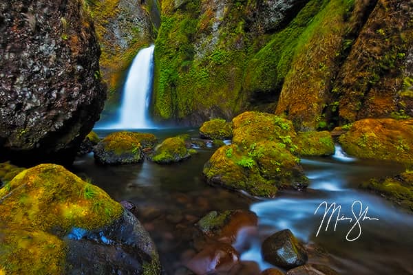 Late Summer at Wahclella Falls