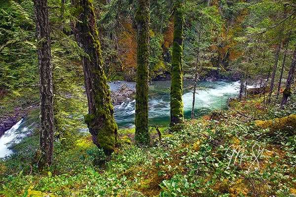 Little Qualicum Falls Provincial Park