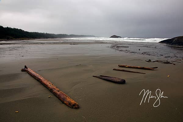 Long Beach Pacific Rim