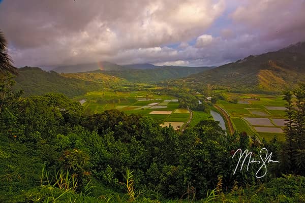 Magical Hanalei Valley