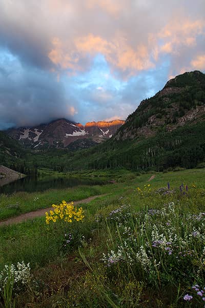 Maroon Bells Wildflowers