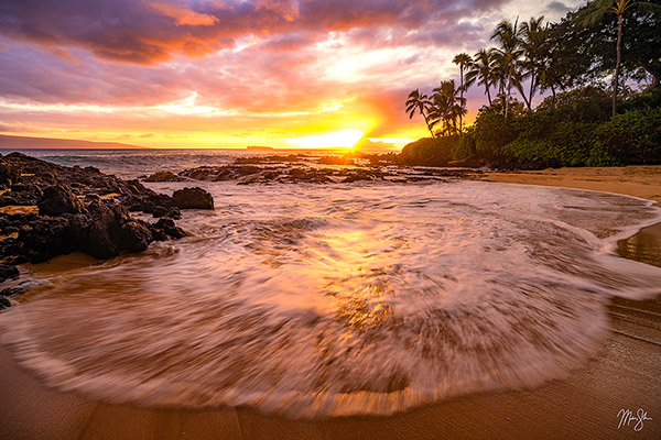 Top Maui Art Galleries