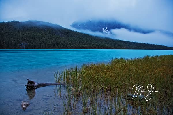 Misty Morning At Waterfowl Lake