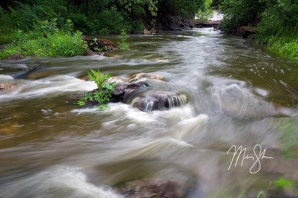 Montgomery Falls Cascades