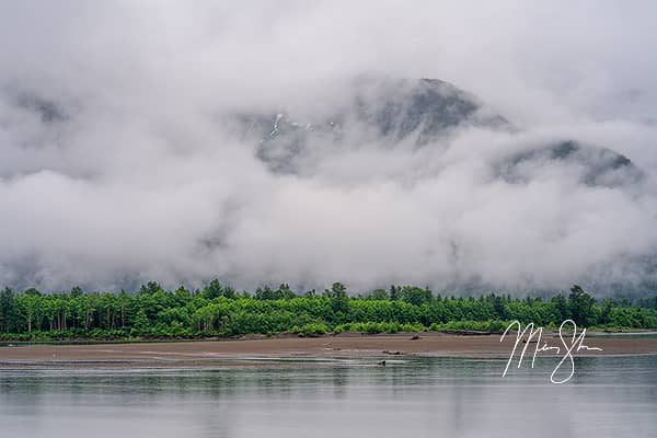 Moody Skeena River