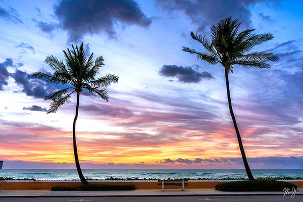 Morning Breezes On Ocean Blvd Palm Beach