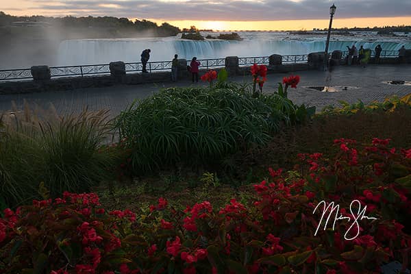 Niagara Falls Flowers