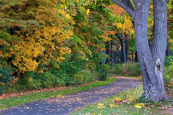 Niagara Parkway Autumn Trail