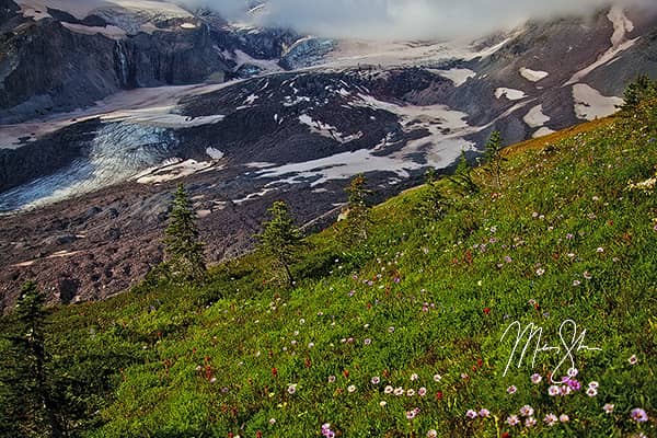 Nisqually Glacier