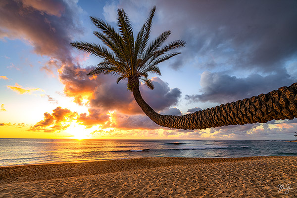 Gallery of Oahu nature photographs for sale