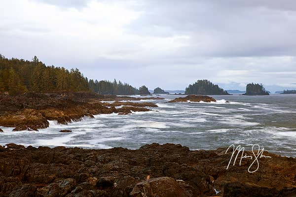 Pacific Rim Coastline