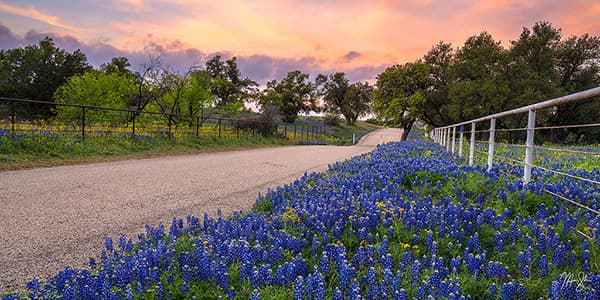 Panoramic Texas Hill Country