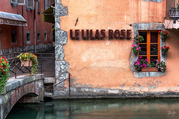 Pastel Walls and Petals on the Canal of Annecy