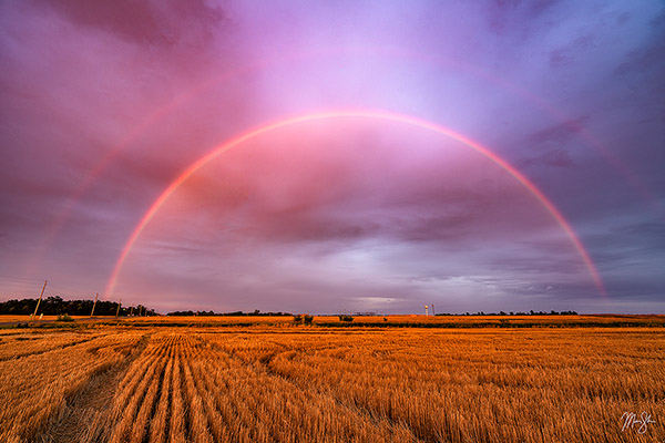 Post Harvest Rainbow