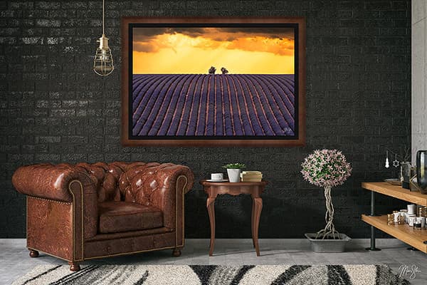 Paris, Provence & the French Alps: A Collection of France Photography