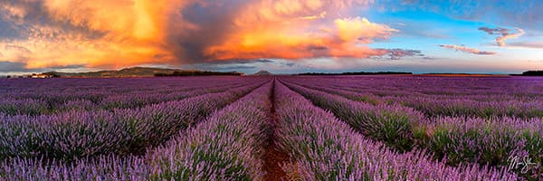 Provence Sunset Panorama