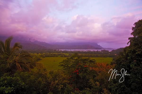 Purple Hanalei Bay