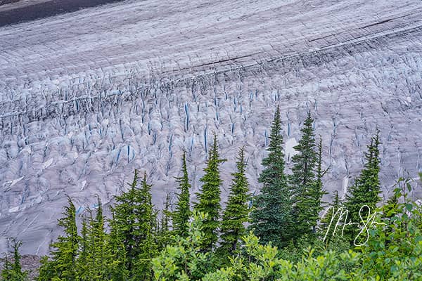 Salmon Glacier Closeup