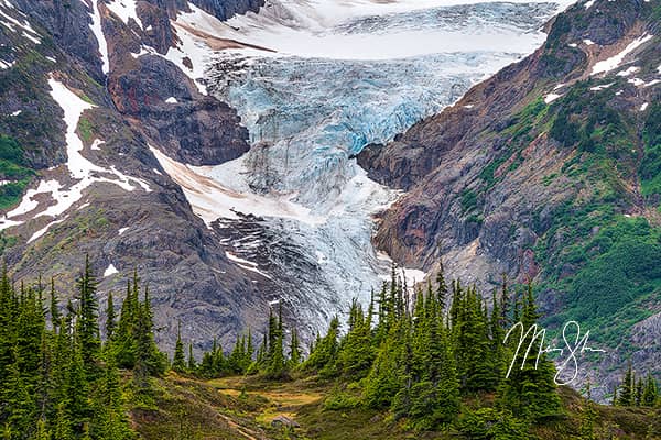 Salmon Icefield