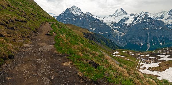 Schreckhorn and Wetterhorn