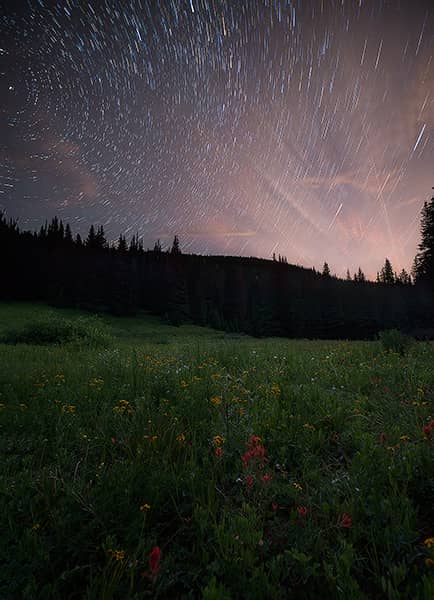 Shrine Pass Wildflower Star Trails