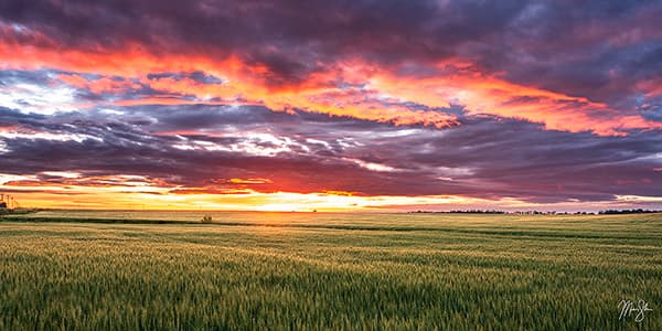 Sky Ablaze