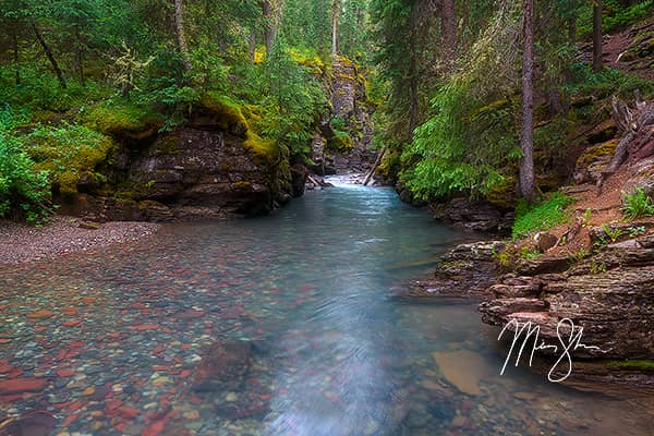 South Fork Mineral Creek