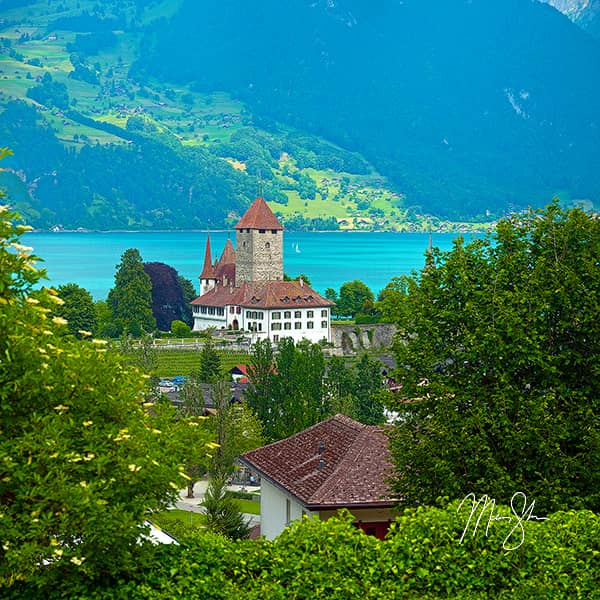 Spiez Castle