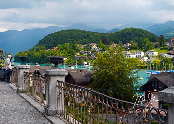 Spiez Harbor View