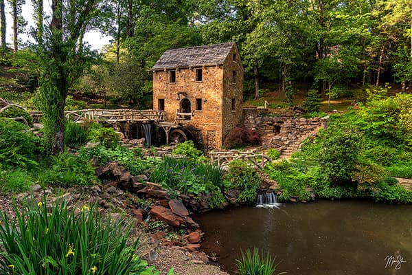 Spring At The Old Mill