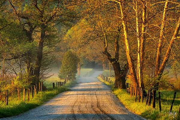 Spring Awakening on Sparks Lane