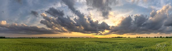 Springtime in Kansas