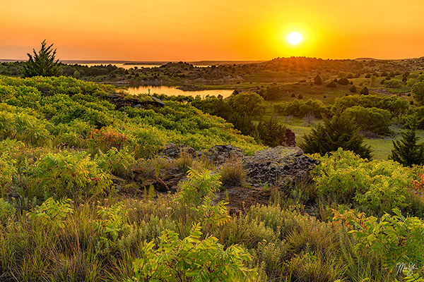 Summer at Wilson Lake