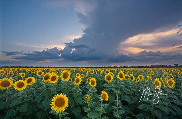 Kansas Fine Art Prints of the Flint Hills, the Keeper of the Plains, Kansas waterfalls, sunflowers and more!