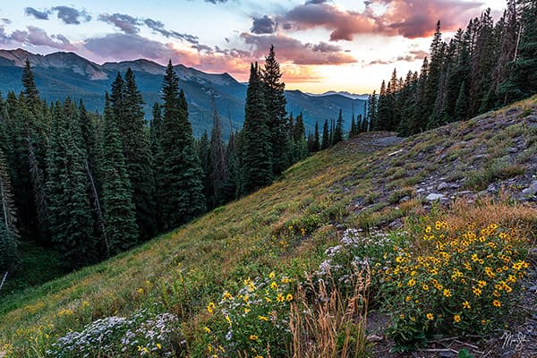 Sunset on the Road to Lake Irwin